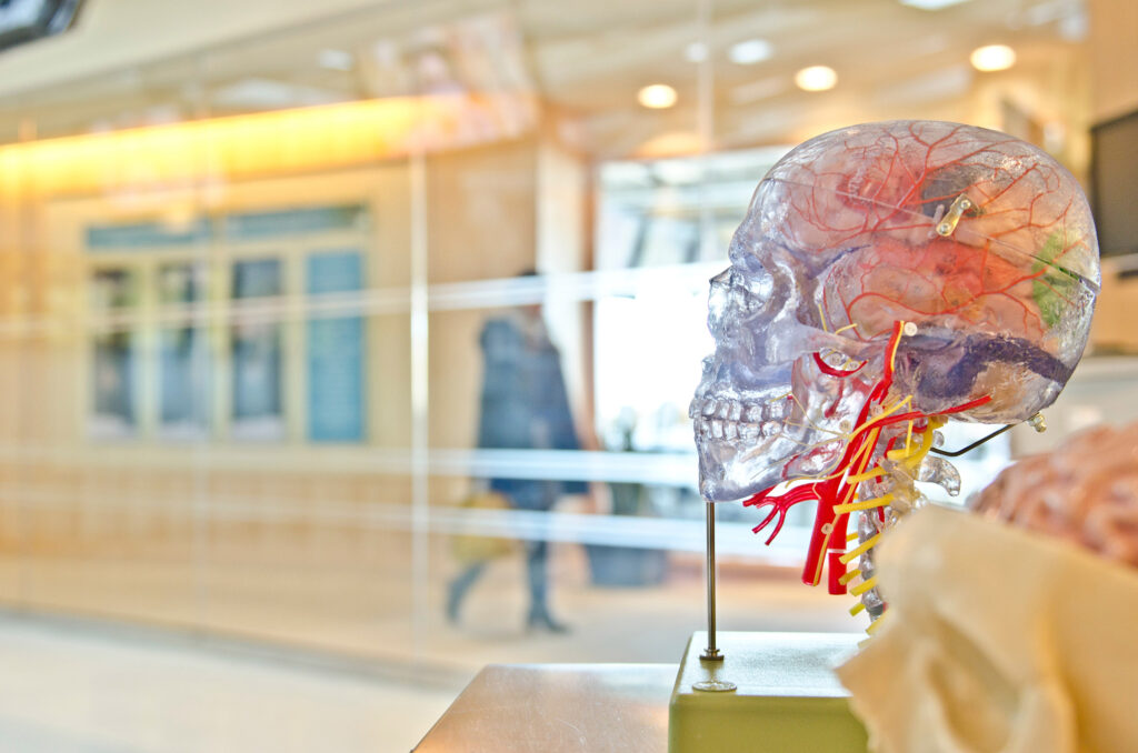 The Essence of Accessible Healthcare